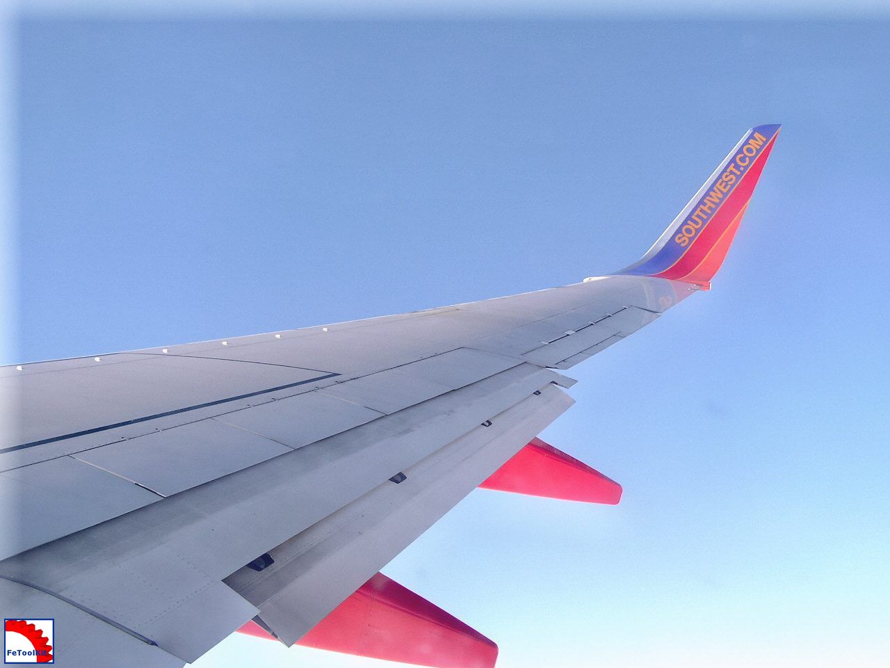 Wing